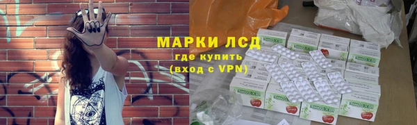 ГАЛЛЮЦИНОГЕННЫЕ ГРИБЫ Бородино