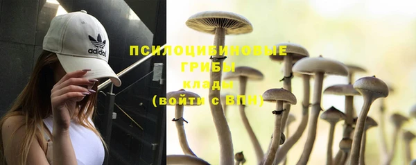 первитин Богородск