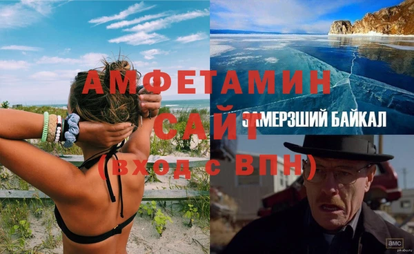 шишки Богородицк