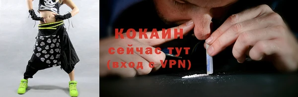 гашик Слюдянка