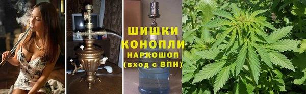 шишки Богородицк