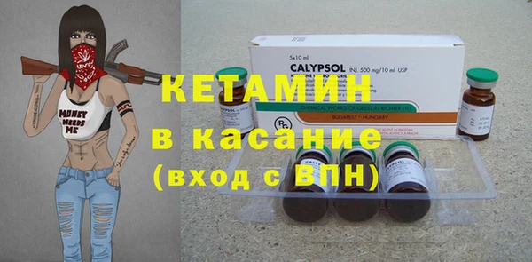 шишки Богородицк
