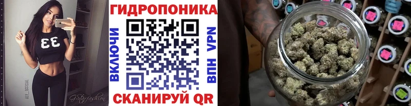 Бошки марихуана сатива  блэк спрут ССЫЛКА  Нарткала 